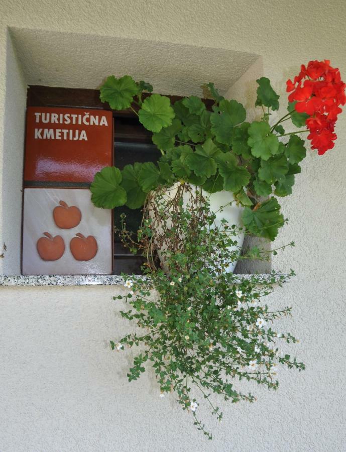 Zidanica Krstinc Villa Straza Luaran gambar